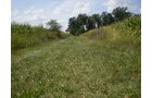 Property photo 17 - 40 Acres in 4 Tracts - Great Location!